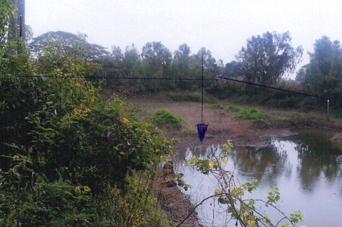 Residential land/lot Phitsanulok Bang Rakam Tha Nang Ngam 79950