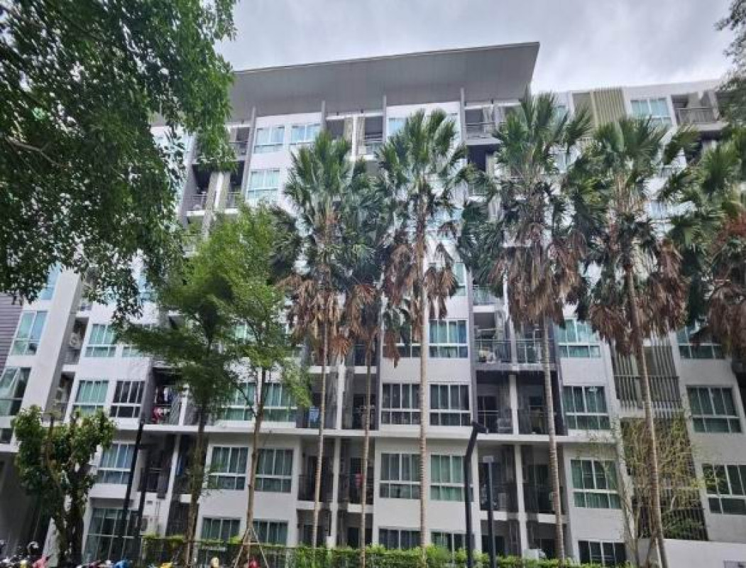 Condominium Chon Buri Bang Lamung Na Kluea 1500012