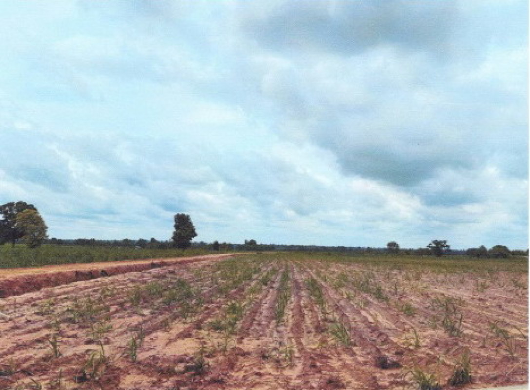 Residential land/lot Nakhon Ratchasima Kaeng Sanam Nang Kaeng Sanam Nang 171860