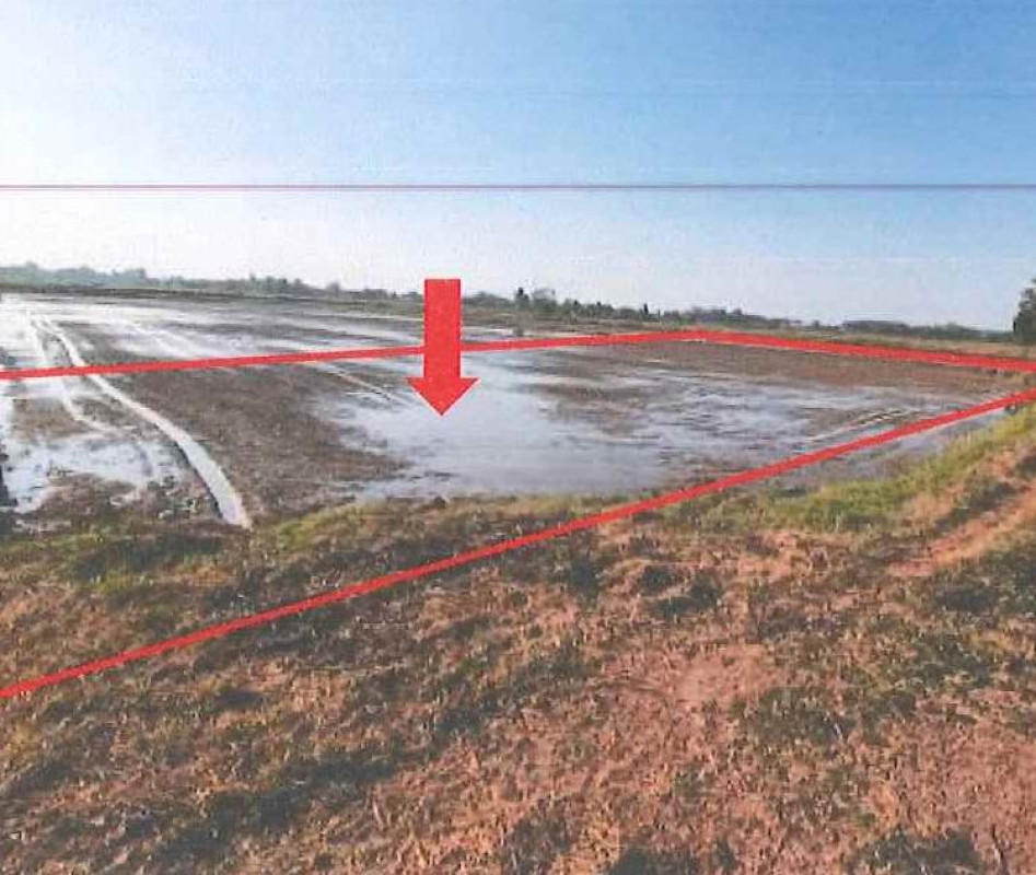 Residential land/lot Phitsanulok Phrom Phiram Si Phirom 146400