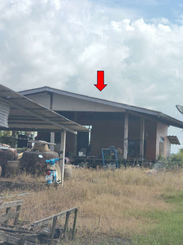 บ้านเดี่ยว ฉะเชิงเทรา บางน้ำเปรี้ยว หมอนทอง 673450