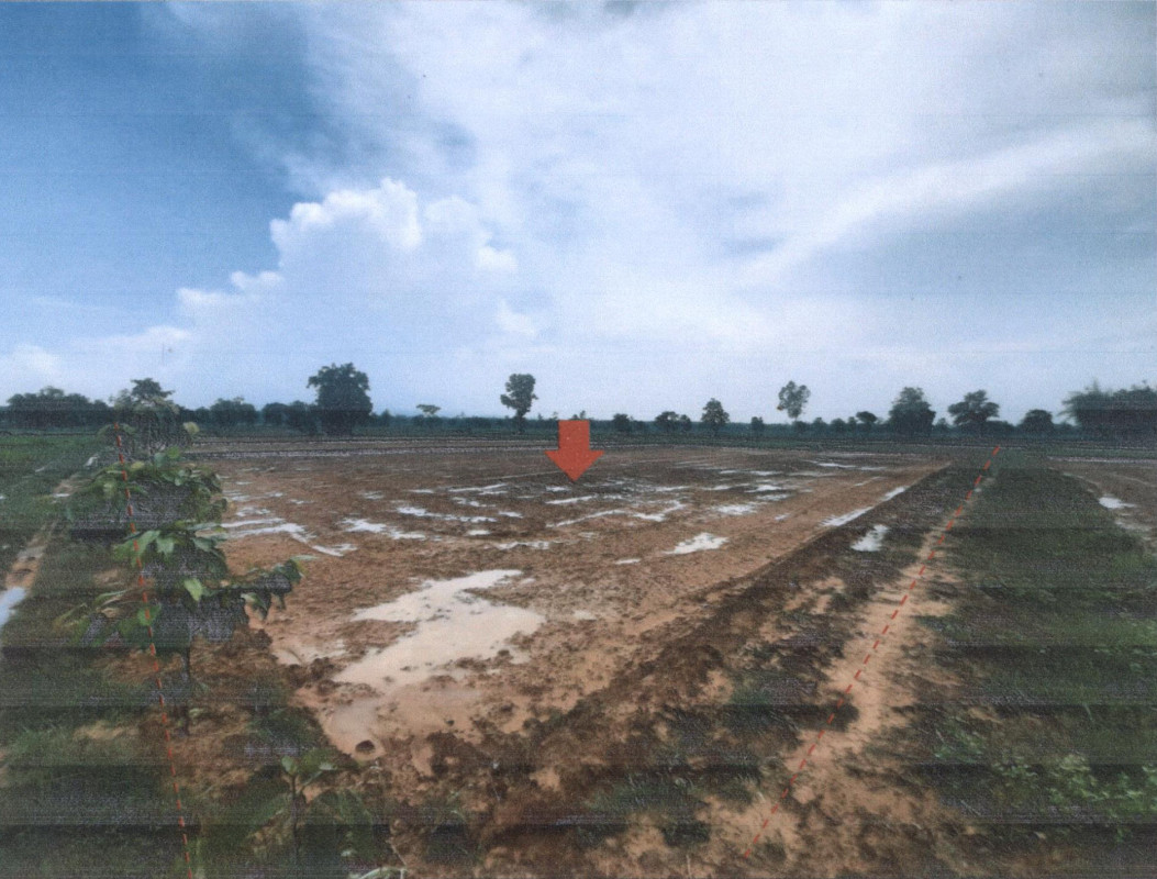 Residential land/lot Nakhon Phanom Na Kae Na Liang 59800