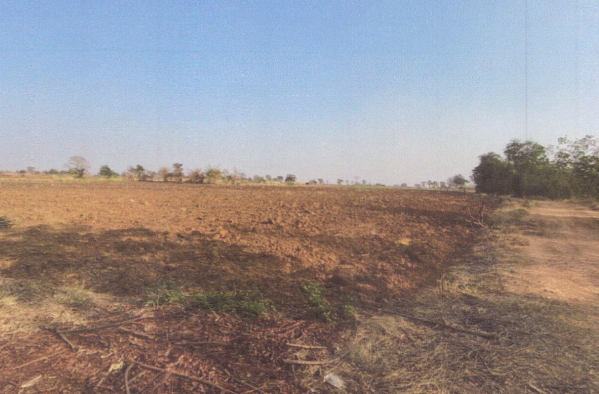 Residential land/lot Chaiyaphum Bamnet Narong Ban Chuan 961610