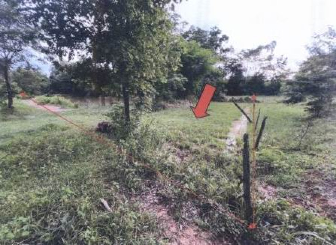 ที่ดินเปล่า ขอนแก่น บ้านไผ่ หัวหนอง 144800