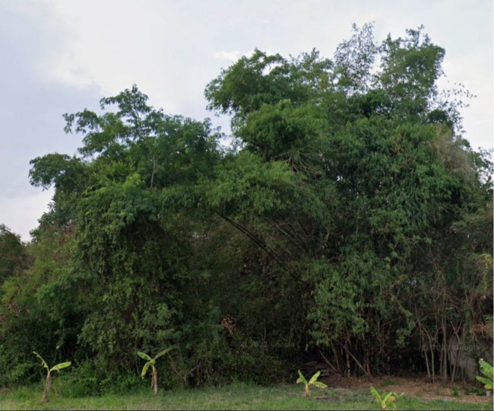 ที่ดินเปล่า ราชบุรี โพธาราม บ้านสิงห์ 1495000