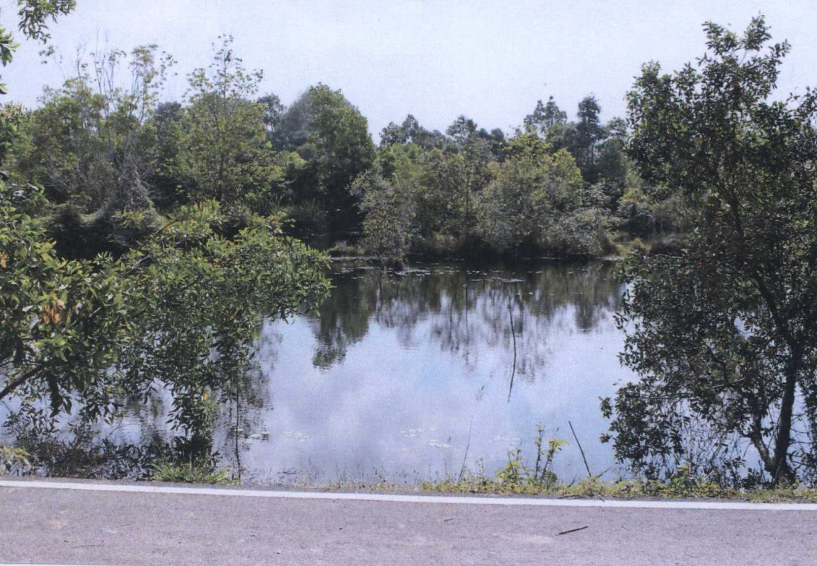 ที่ดินเปล่า ปัตตานี ยะหริ่ง มะนังยง 450000