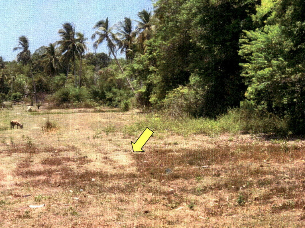 ที่ดินเปล่า สงขลา เทพา เทพา 34100