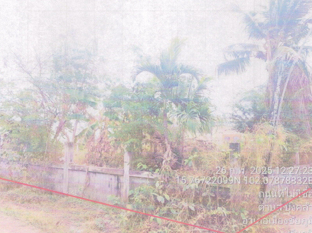 บ้านเดี่ยว ชัยภูมิ เมืองชัยภูมิ บุ่งคล้า 224700