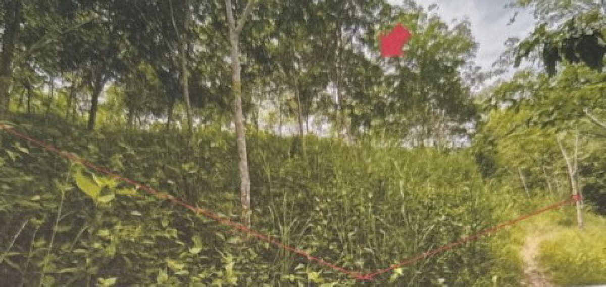 ที่ดินเปล่า สงขลา สะเดา เขามีเกียรติ 1200600