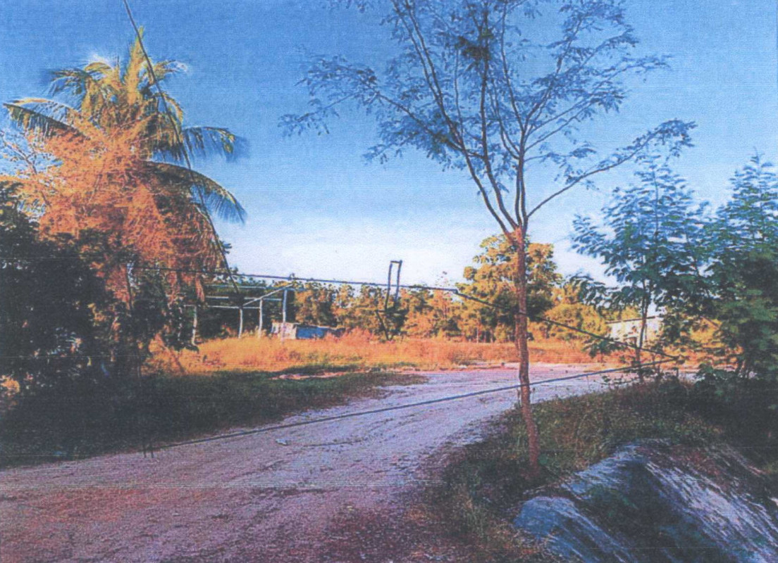 บ้านเดี่ยว นครสวรรค์ ลาดยาว เนินขี้เหล็ก 196200