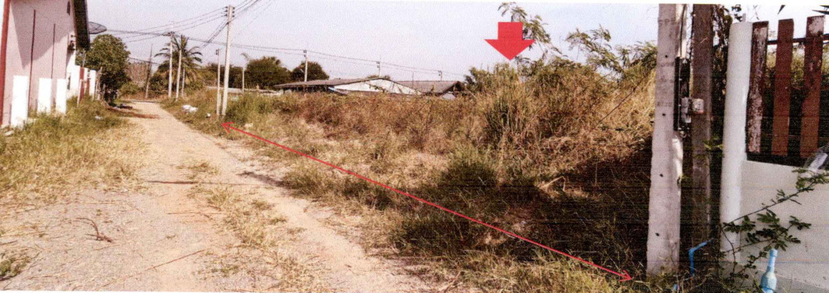 ที่ดินเปล่า ประจวบคีรีขันธ์ หัวหิน หนองพลับ 348000