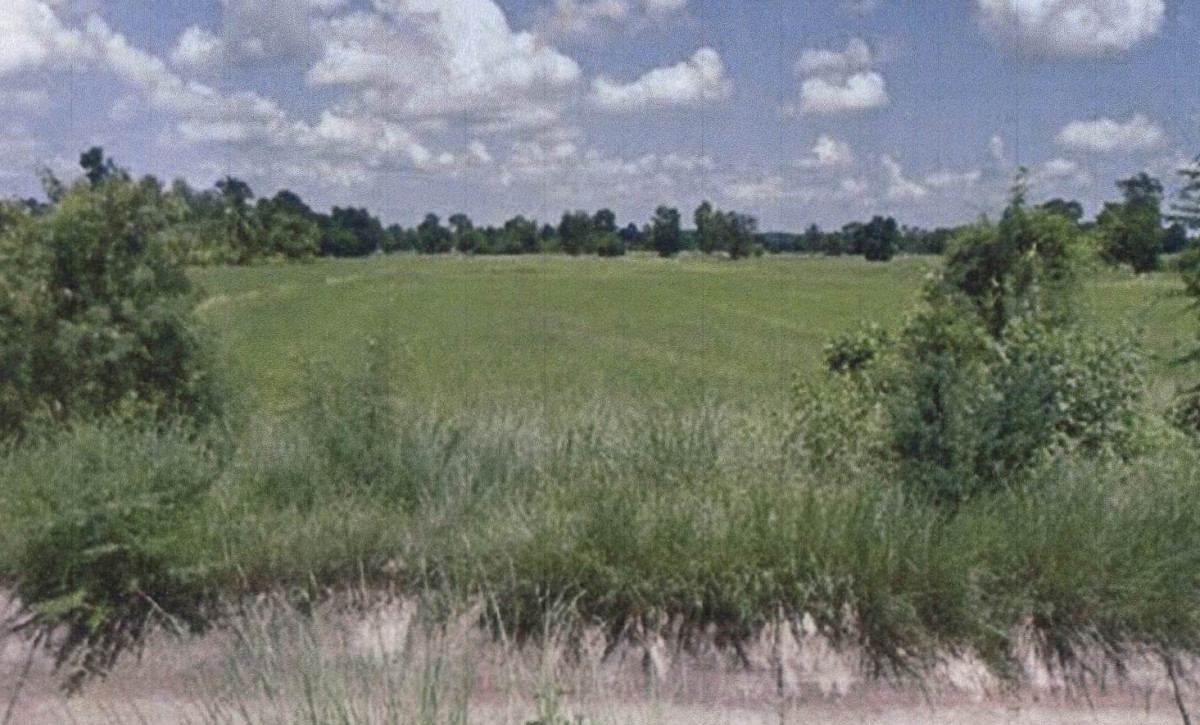 ที่ดินเปล่า ชัยภูมิ จัตุรัส หนองบัวบาน 150319