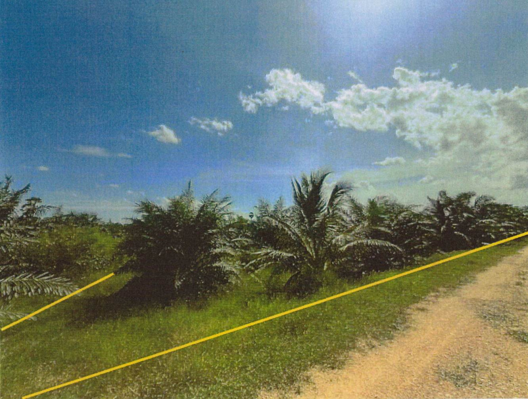 ที่ดินเปล่า สงขลา ระโนด บ้านขาว 677875