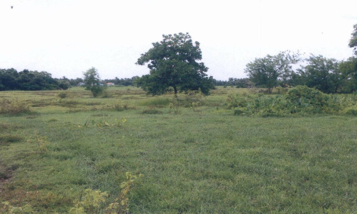 ที่ดินเปล่า สงขลา เมืองสงขลา เกาะแต้ว 123420