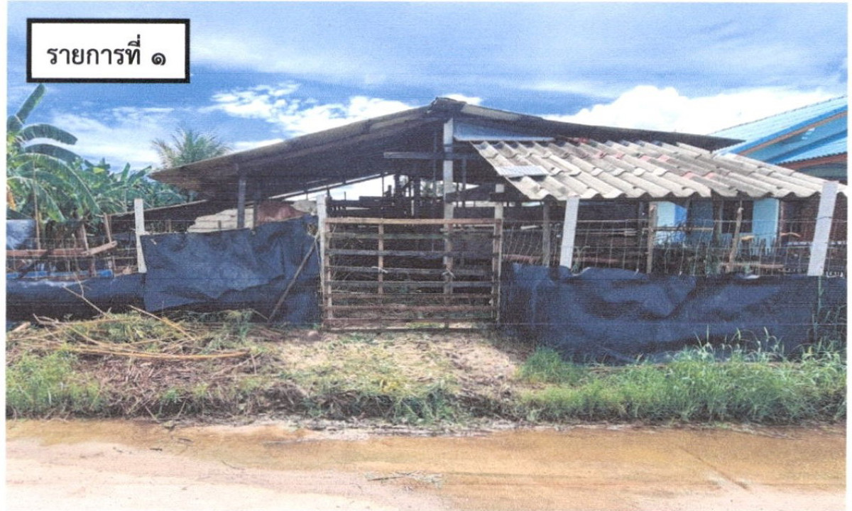 บ้านเดี่ยว สงขลา ระโนด ปากแตระ 272800