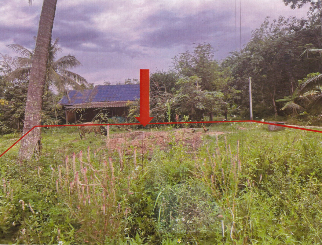 ที่ดินเปล่า สงขลา รัตภูมิ กำแพงเพชร 127800