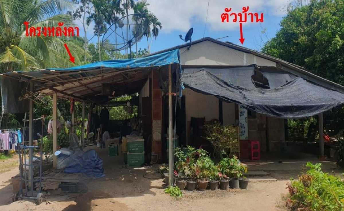 บ้านเดี่ยว ระยอง บ้านฉาง สำนักท้อน 303898