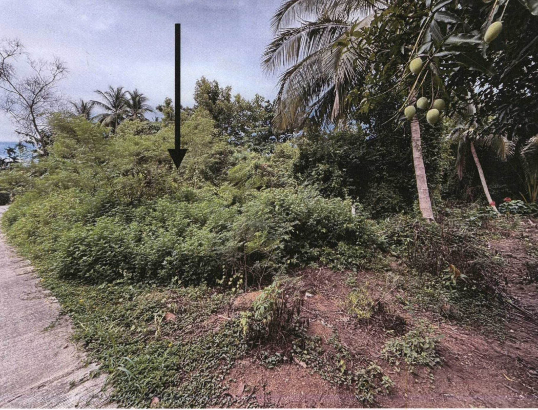 ที่ดินเปล่า สุราษฎร์ธานี เกาะสมุย ตลิ่งงาม 480600