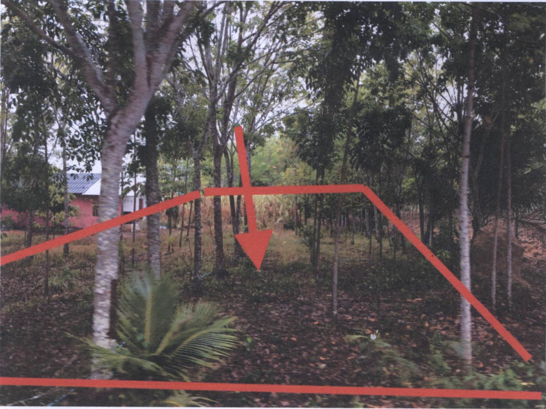 ที่ดินเปล่า สงขลา สะเดา พังลา 987013