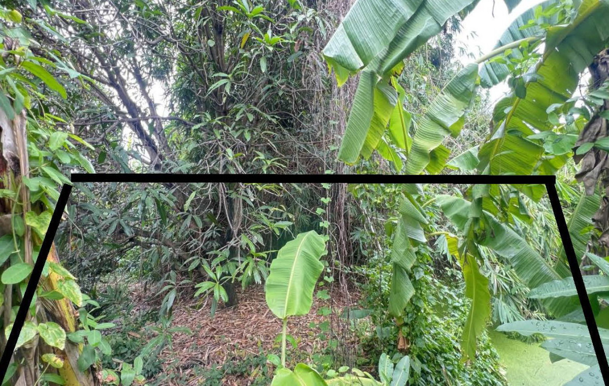 ที่ดินเปล่า ปทุมธานี เมืองปทุมธานี บ้านกระแชง 220000