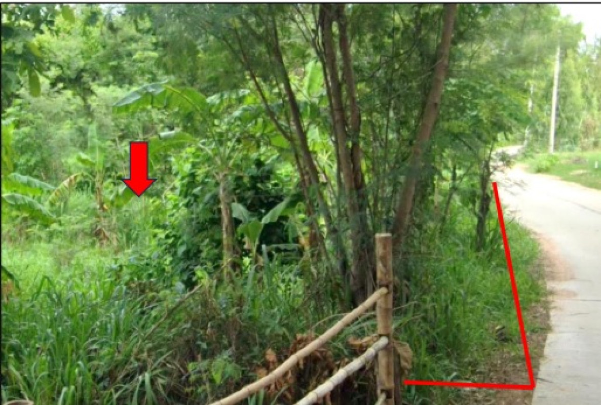 ที่ดินเปล่า ขอนแก่น บ้านไผ่ หนองน้ำใส 45000