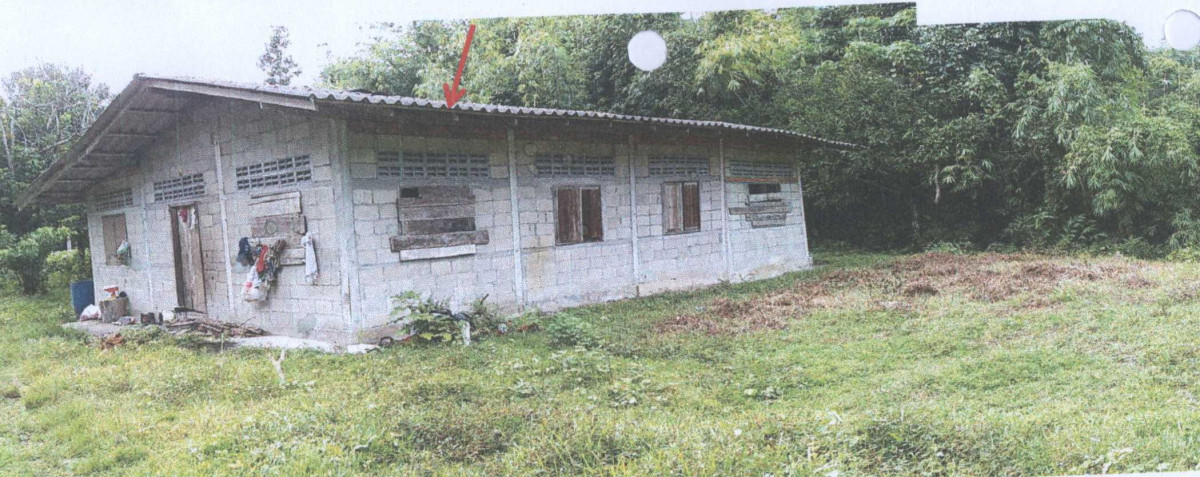 บ้านเดี่ยว นครศรีธรรมราช ทุ่งสง นาหลวงเสน 932500