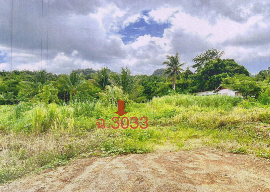 Residential land/lot Surat Thani Ban Ta Khun Khao Wong 415870