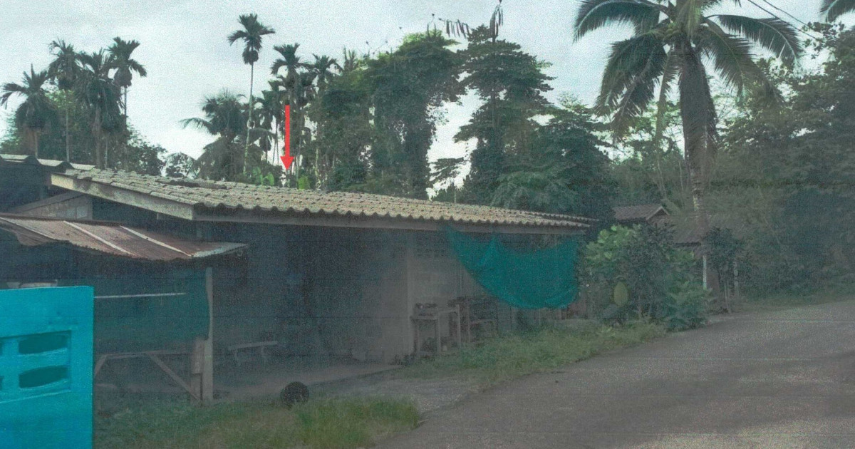 บ้านเดี่ยว นครศรีธรรมราช ทุ่งสง ที่วัง 832302