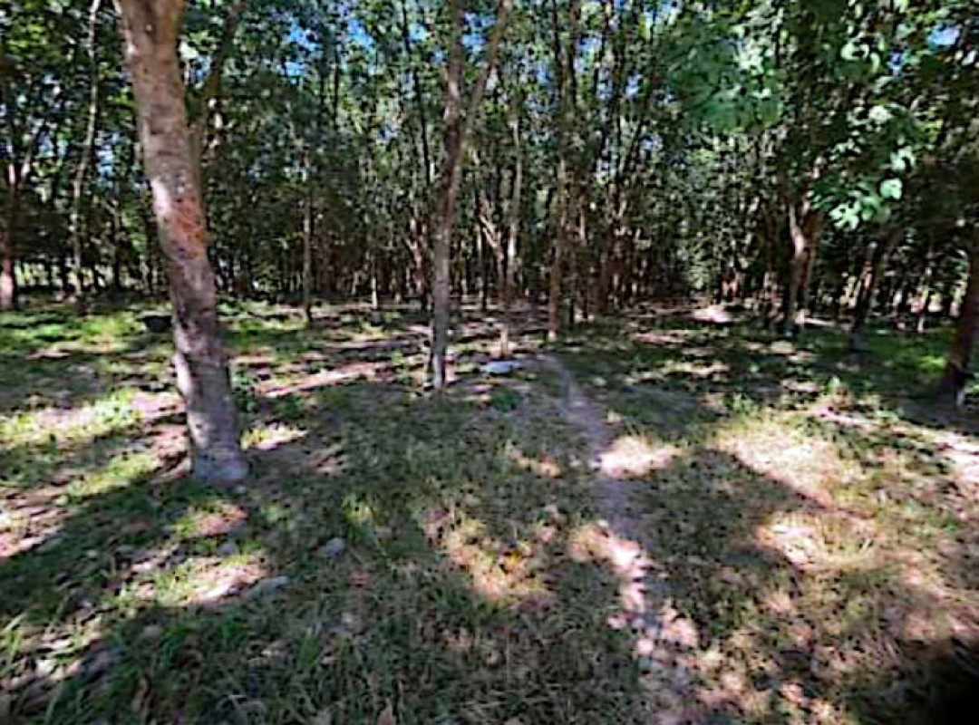 Residential land/lot Si Sa Ket Kantharalak Chan Yai 91760