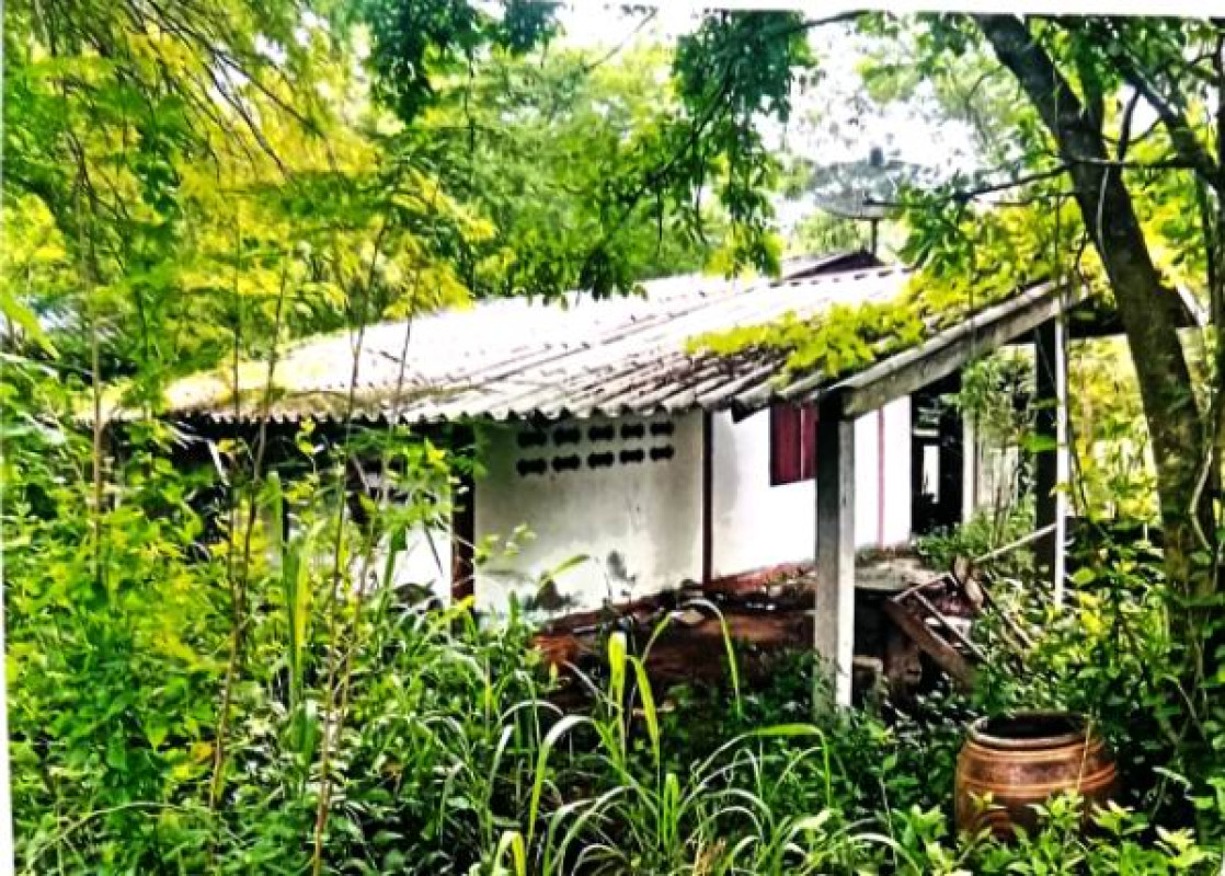 บ้านเดี่ยว มหาสารคาม กันทรวิชัย ขามเฒ่าพัฒนา 493320