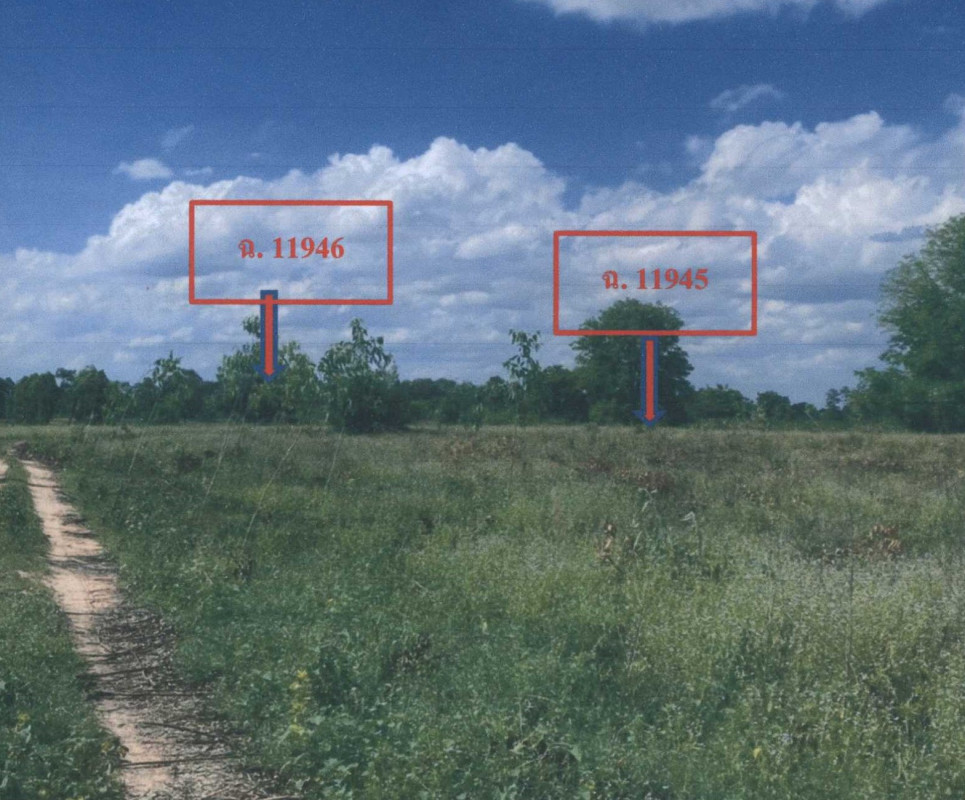 ที่ดินเปล่า มหาสารคาม พยัคฆภูมิพิสัย ก้ามปู 141000