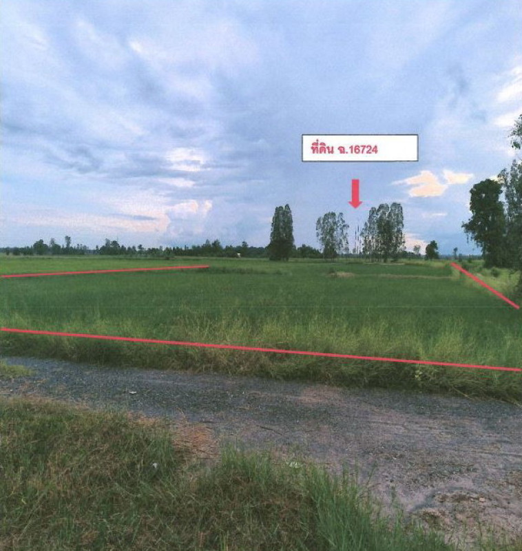 ที่ดินเปล่า มหาสารคาม โกสุมพิสัย เขวาไร่ 683305