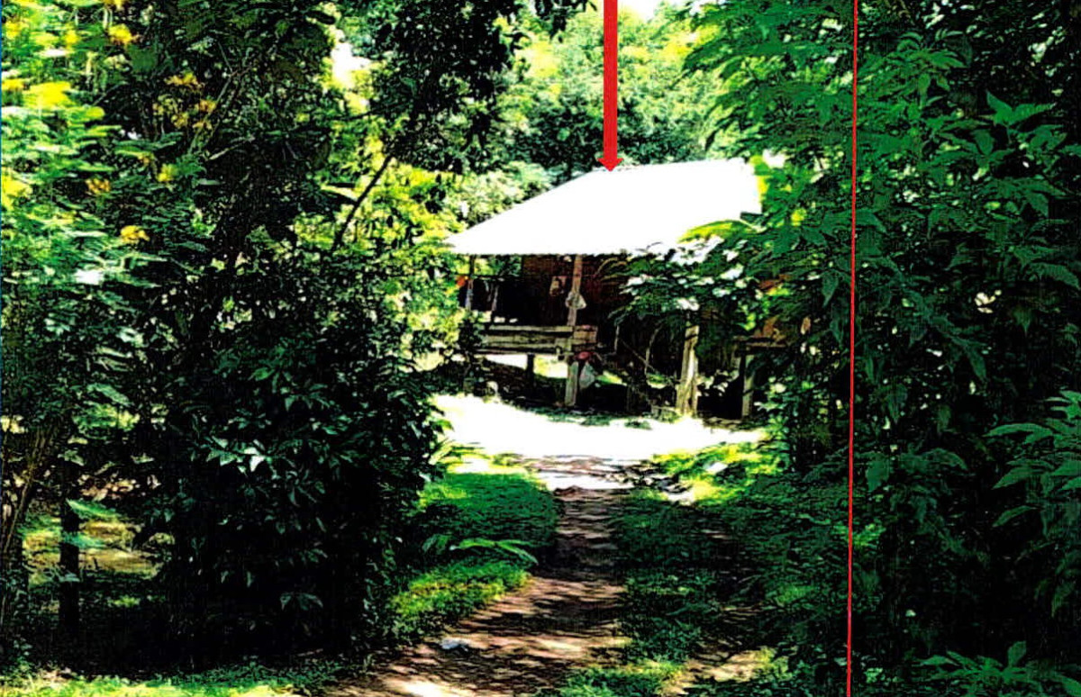 ที่ดินเปล่า ลำปาง แม่เมาะ นาสัก 67900