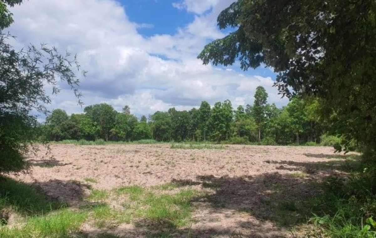 ที่ดินเปล่า กาฬสินธุ์ นามน สงเปลือย 461000