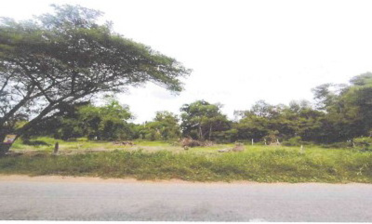 ที่ดินเปล่า กาฬสินธุ์ ยางตลาด ยางตลาด 190000