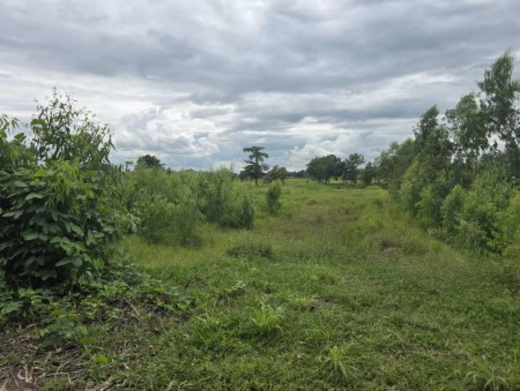 ที่ดินเปล่า กาฬสินธุ์ ยางตลาด หนองตอกแป้น 1510000