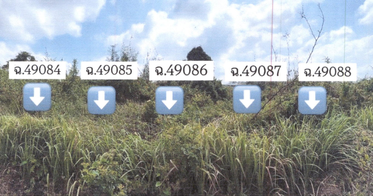 ที่ดินเปล่า สุราษฎร์ธานี กาญจนดิษฐ์ กรูด 650750