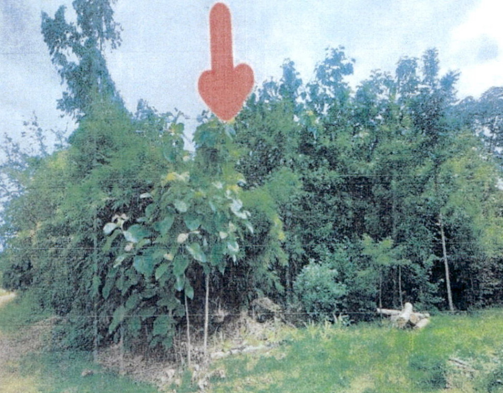 ที่ดินเปล่า ลำปาง แม่ทะ บ้านกิ่ว 384120