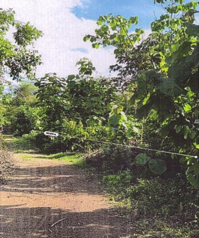 ที่ดินเปล่า ลำปาง เมืองลำปาง พระบาท 1400000