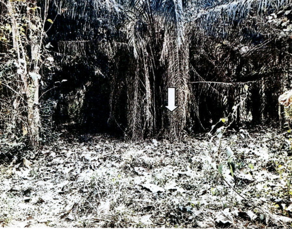 ที่ดินเปล่า ลำปาง เกาะคา นาแส่ง 92880