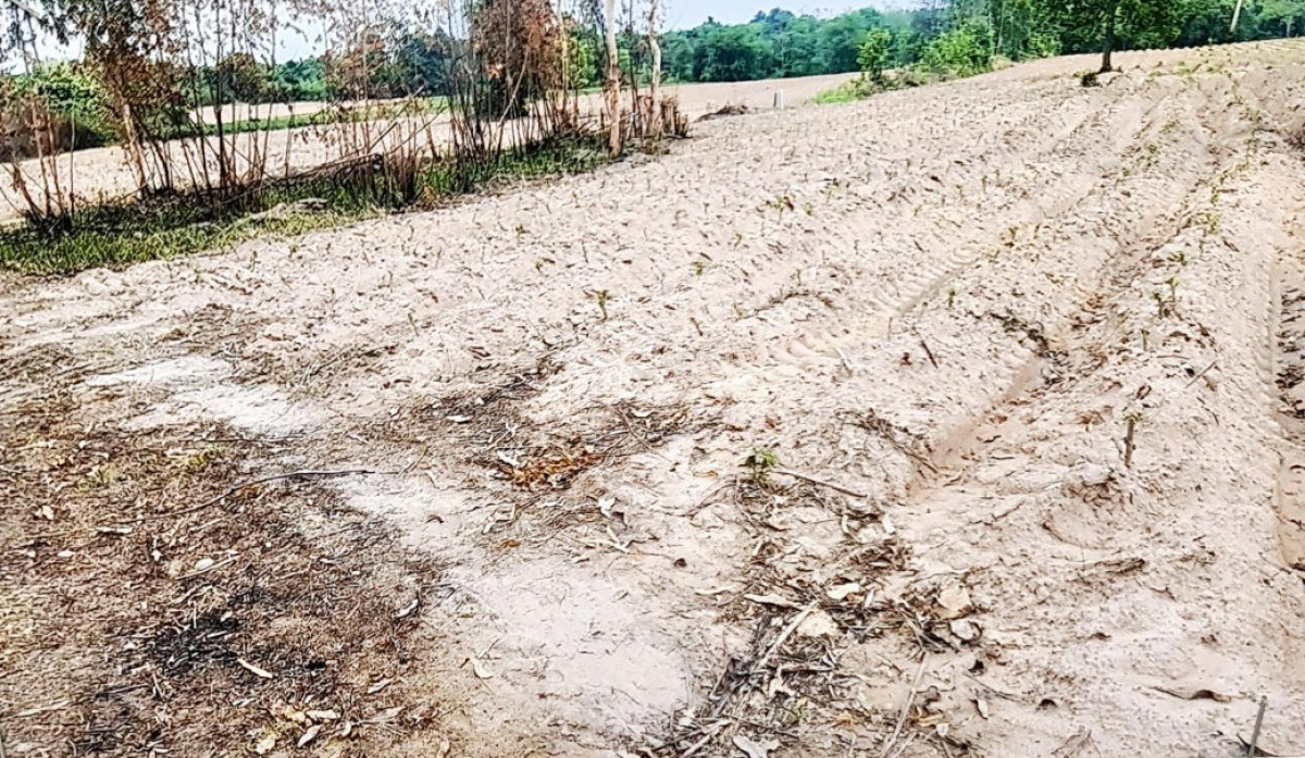 ที่ดินเปล่า อุบลราชธานี นาเยีย นาดี 41200