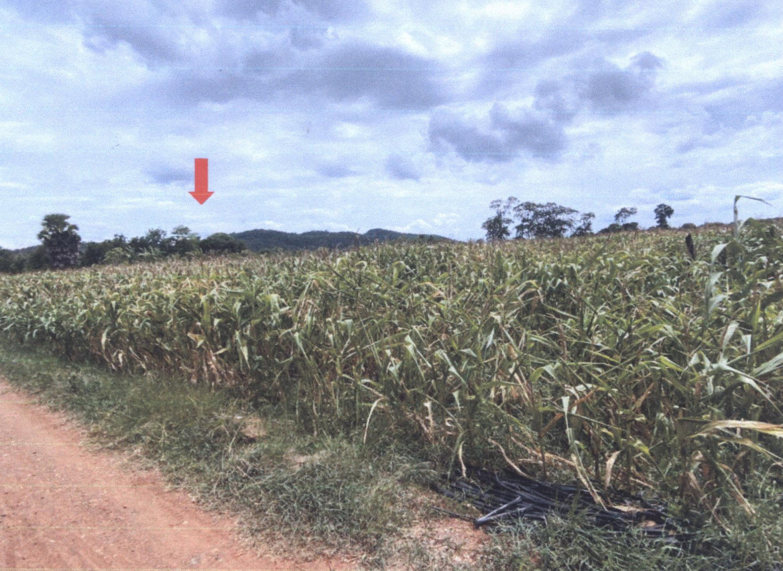 ที่ดินเปล่า ลพบุรี หนองม่วง หนองม่วง 587250