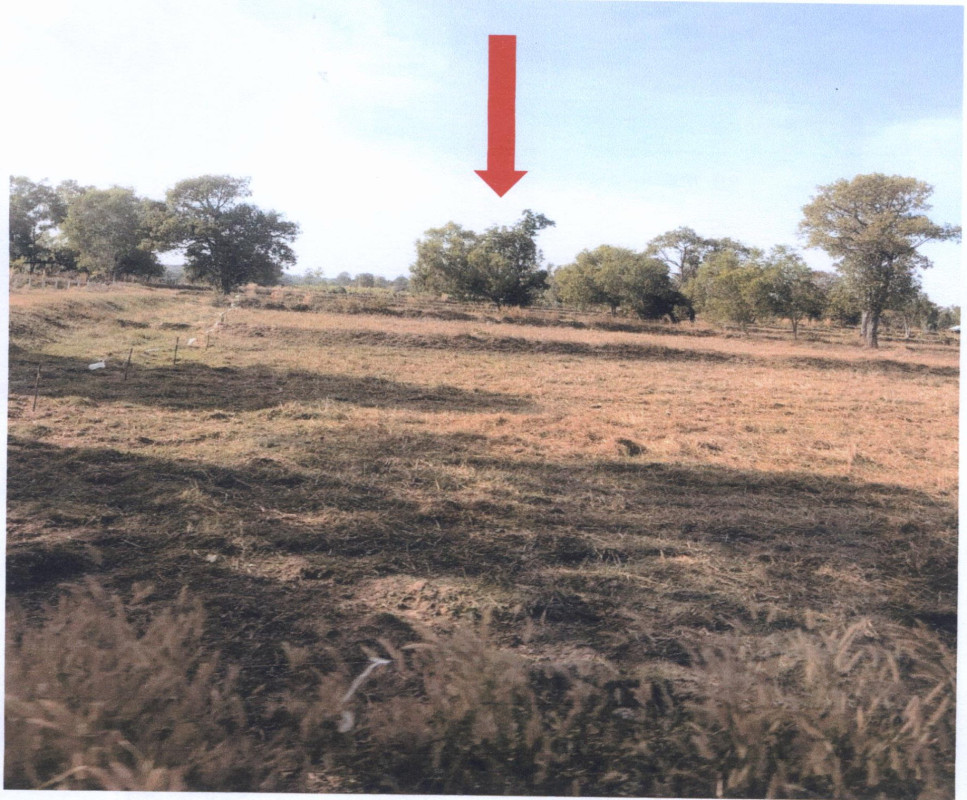 Residential land/lot Surin Tha Tum Bua Khok 110700