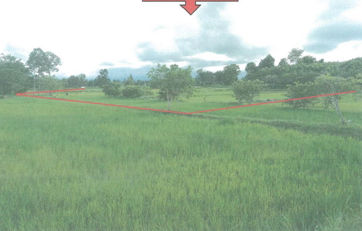 ที่ดินเปล่า อุบลราชธานี เดชอุดม แก้ง 177068