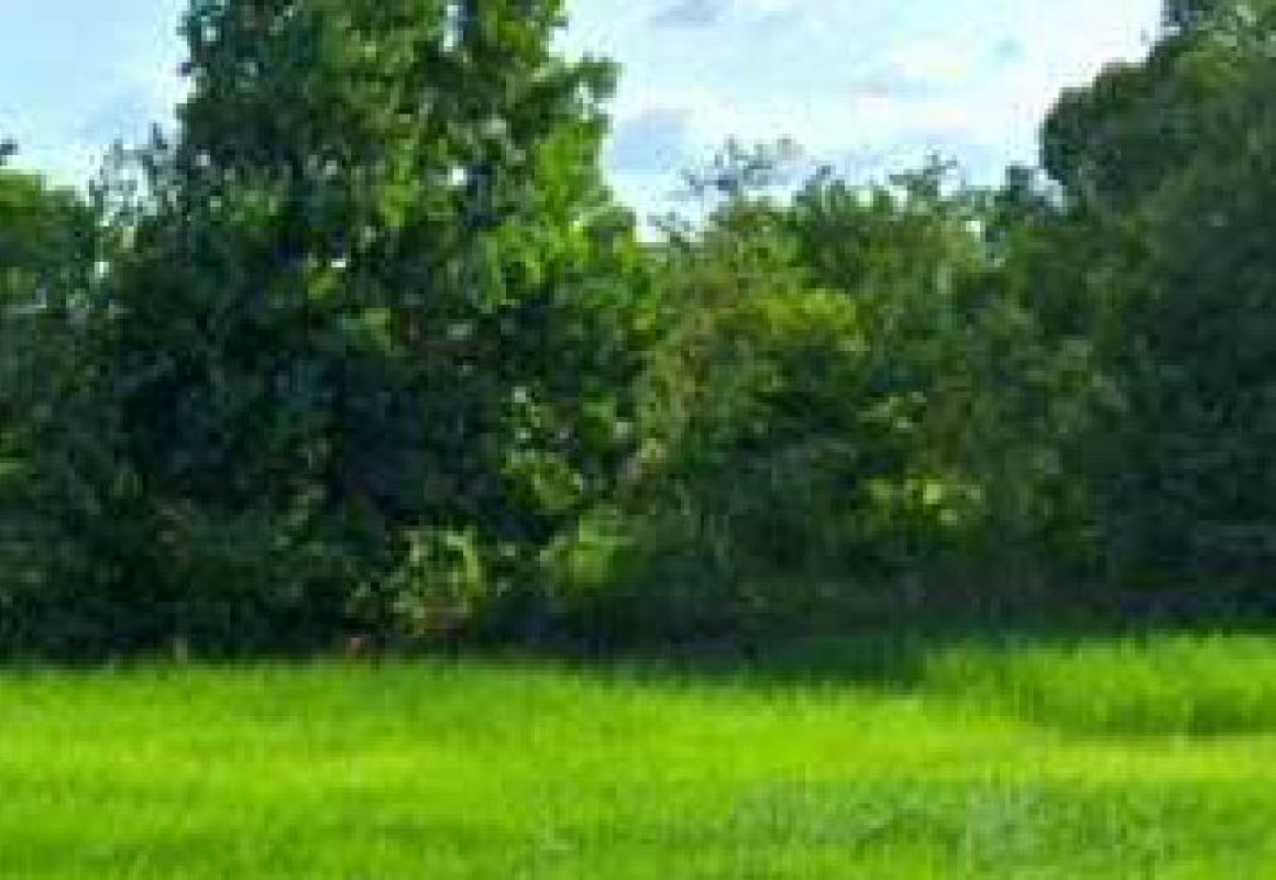 Residential land/lot Maha Sarakham Wapi Pathum Khok Si Thong Lang 675000