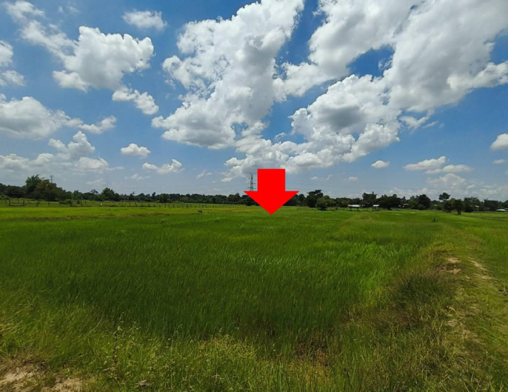 Residential land/lot Maha Sarakham Mueang Maha Sarakham Waeng Nang 160000