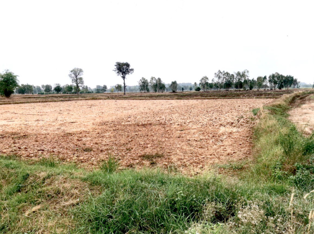 Residential land/lot Kalasin Kamalasai Lak Mueang 460000