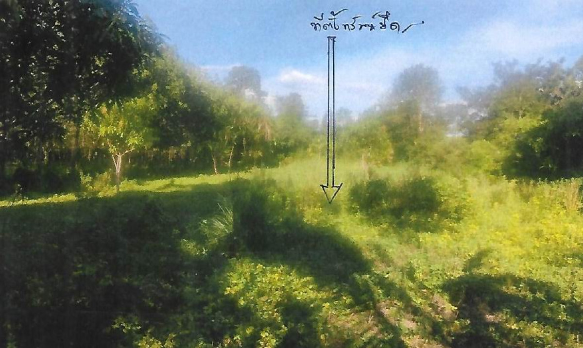 Residential land/lot Sakon Nakhon Mueang Sakon Nakhon Dong Mafai 410800