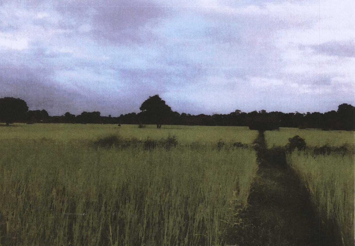 ที่ดินเปล่า ปัตตานี ทุ่งยางแดง ปากู 110136