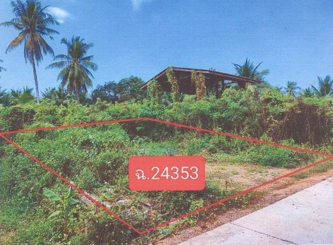 ที่ดินเปล่า ราชบุรี ดำเนินสะดวก ดอนกรวย 150000